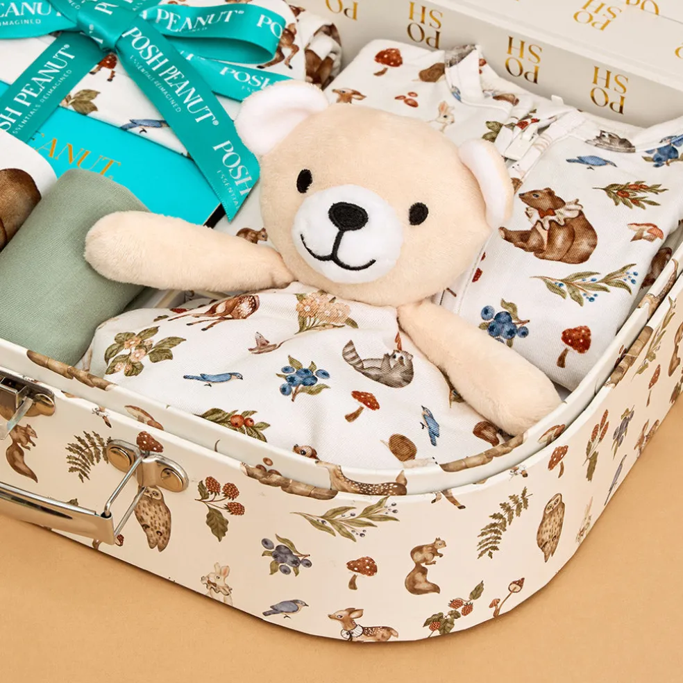 Baby Gift Set