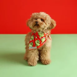 Dog Bandana