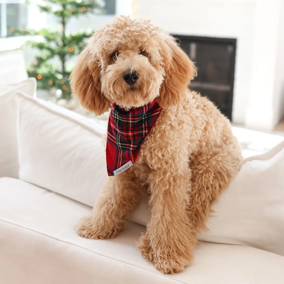 Dog Bandana