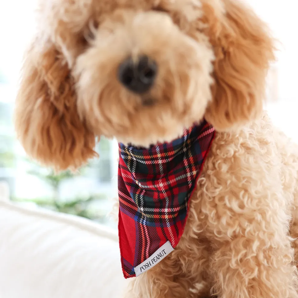 Dog Bandana