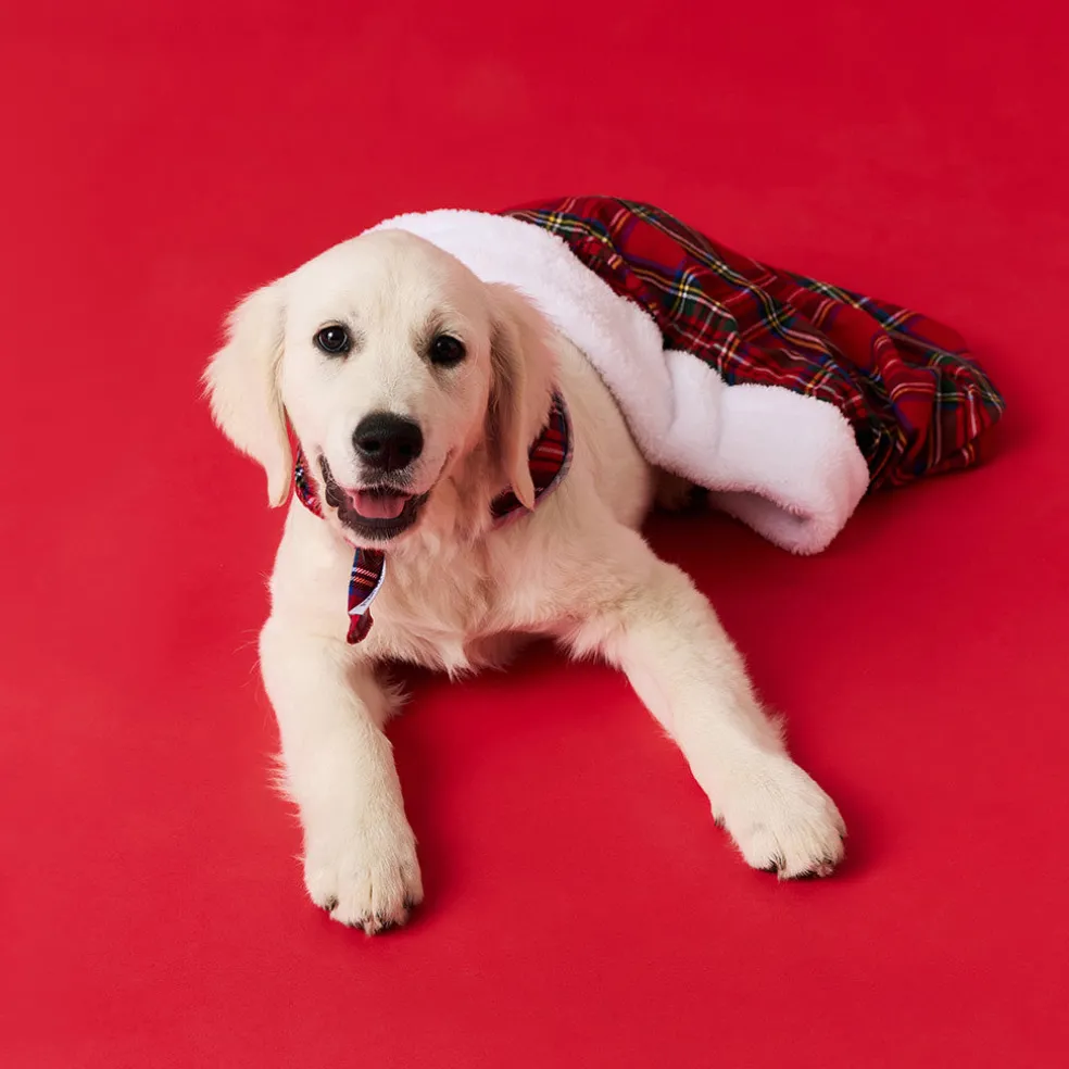 Holiday Gift Sack